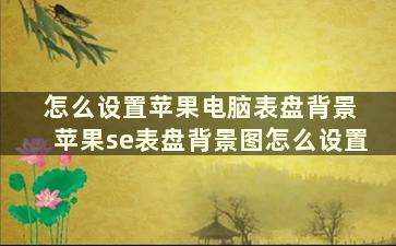 怎么设置苹果电脑表盘背景 苹果se表盘背景图怎么设置